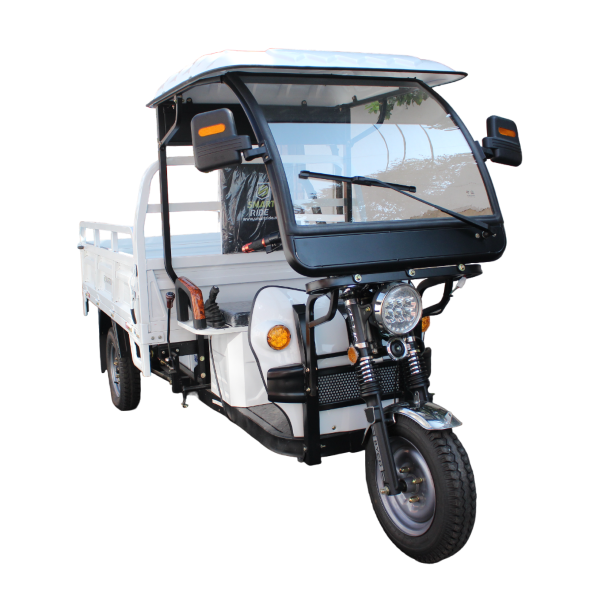 CARGO 001 CON TECHO