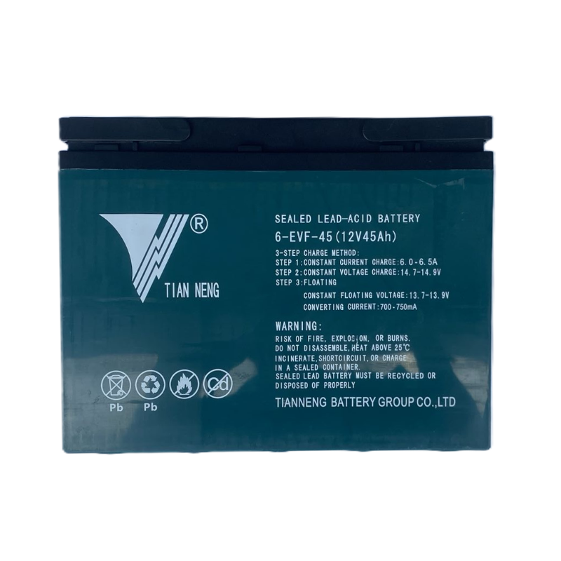 BATERIA 12V 45AH